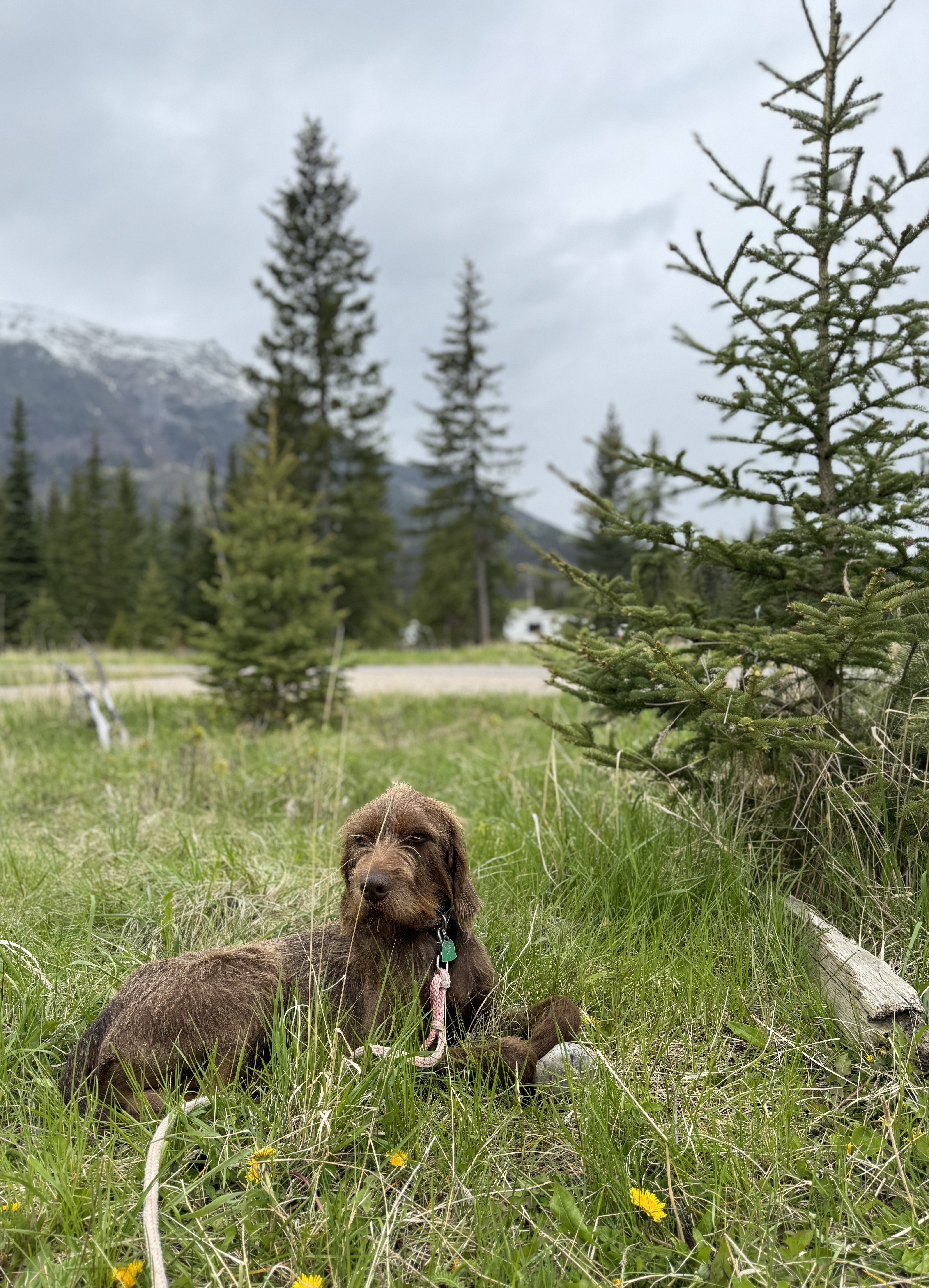 Day 162 / June 1, 2024