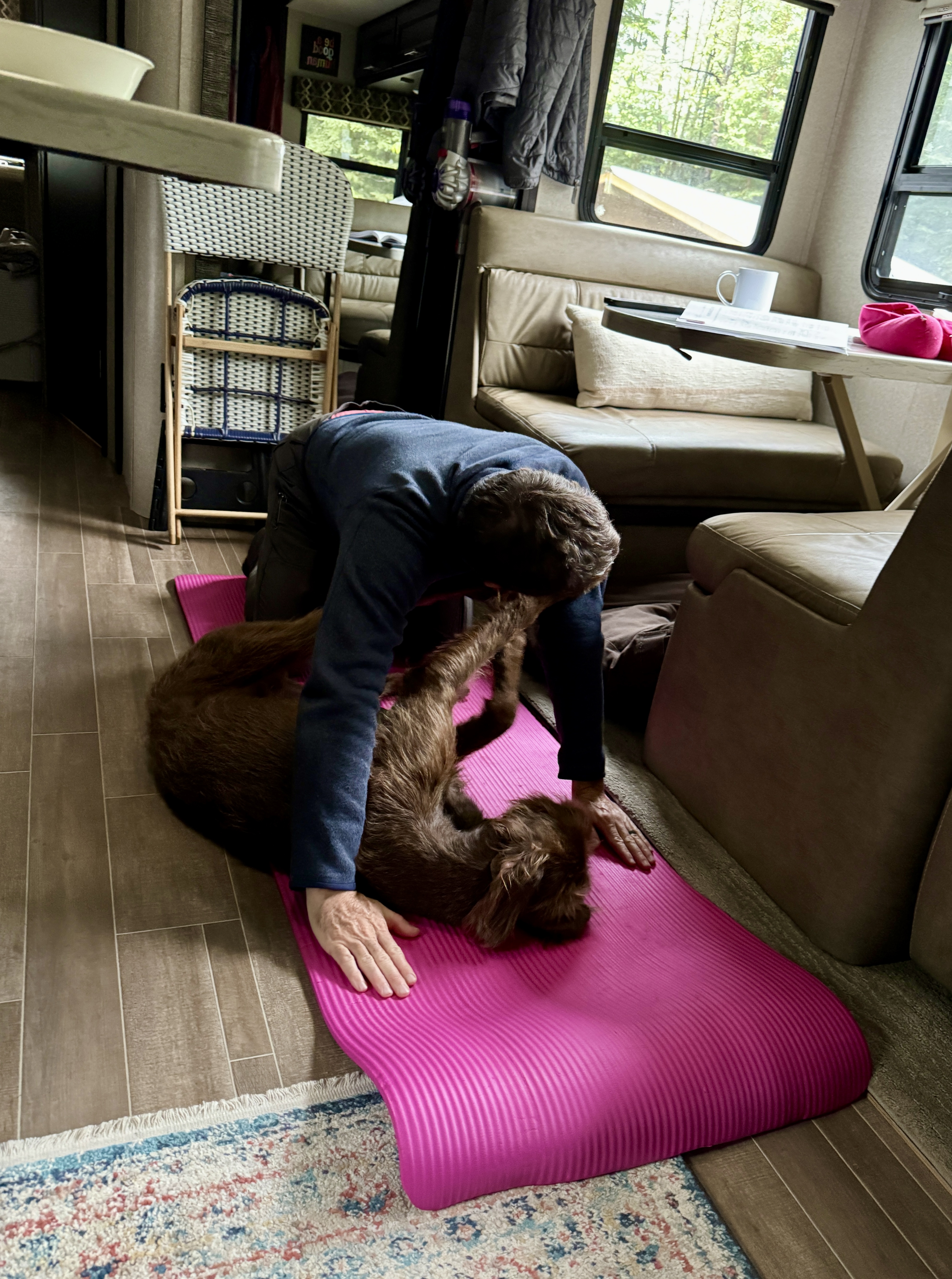 Day 165 / June 4, 2024