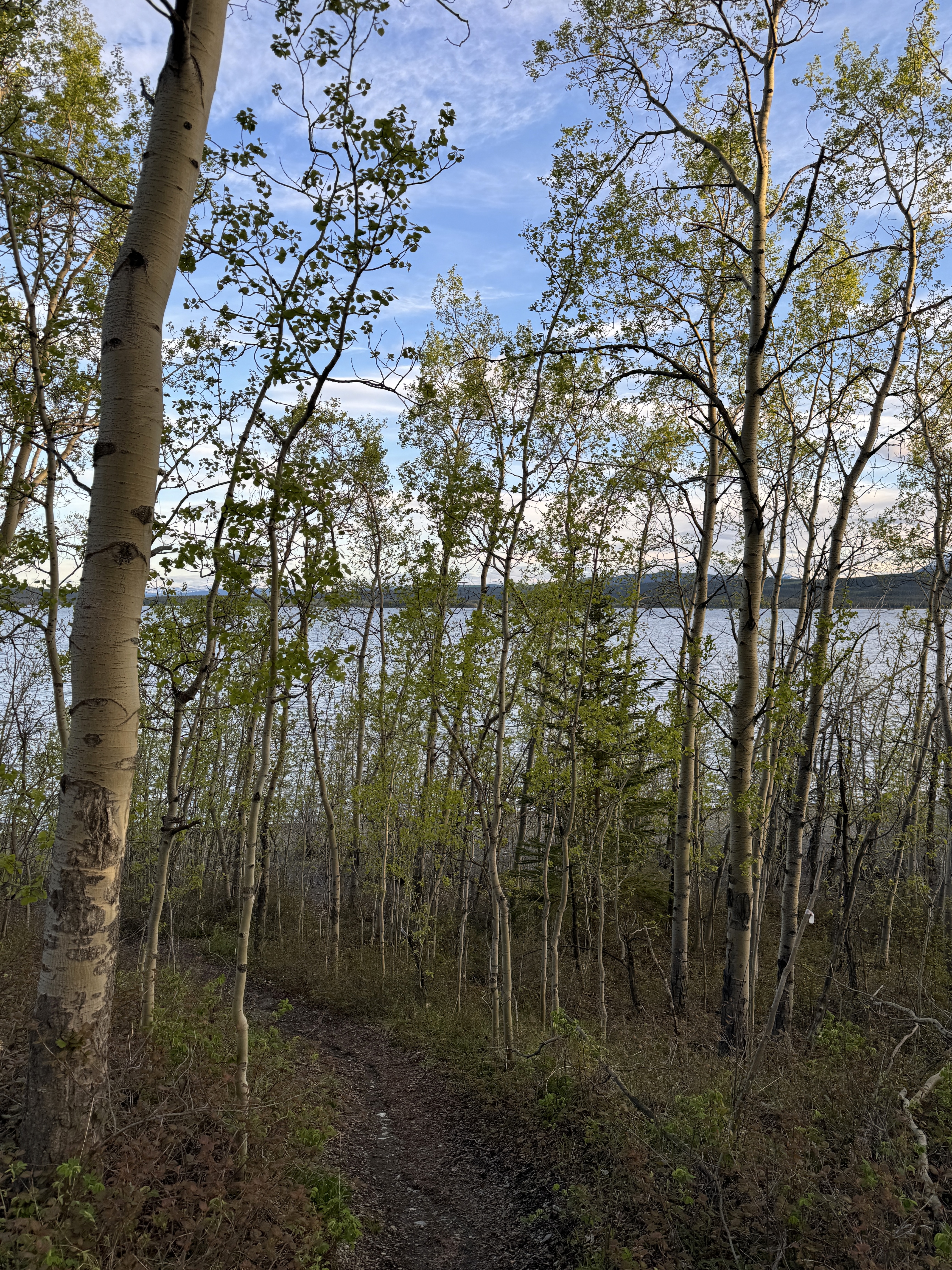 Day 167 / June 6, 2024