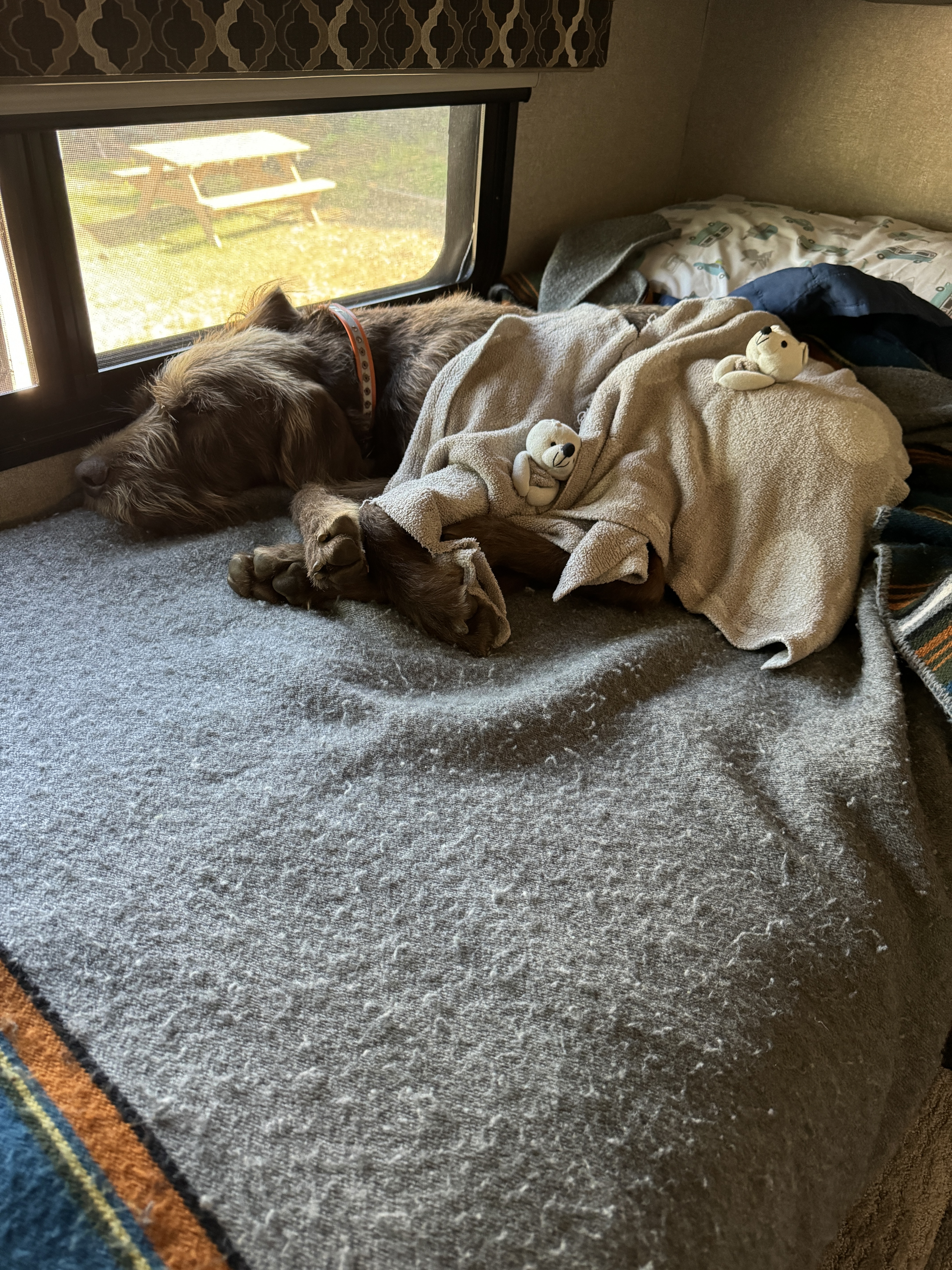 Day 177 / June 16, 2024