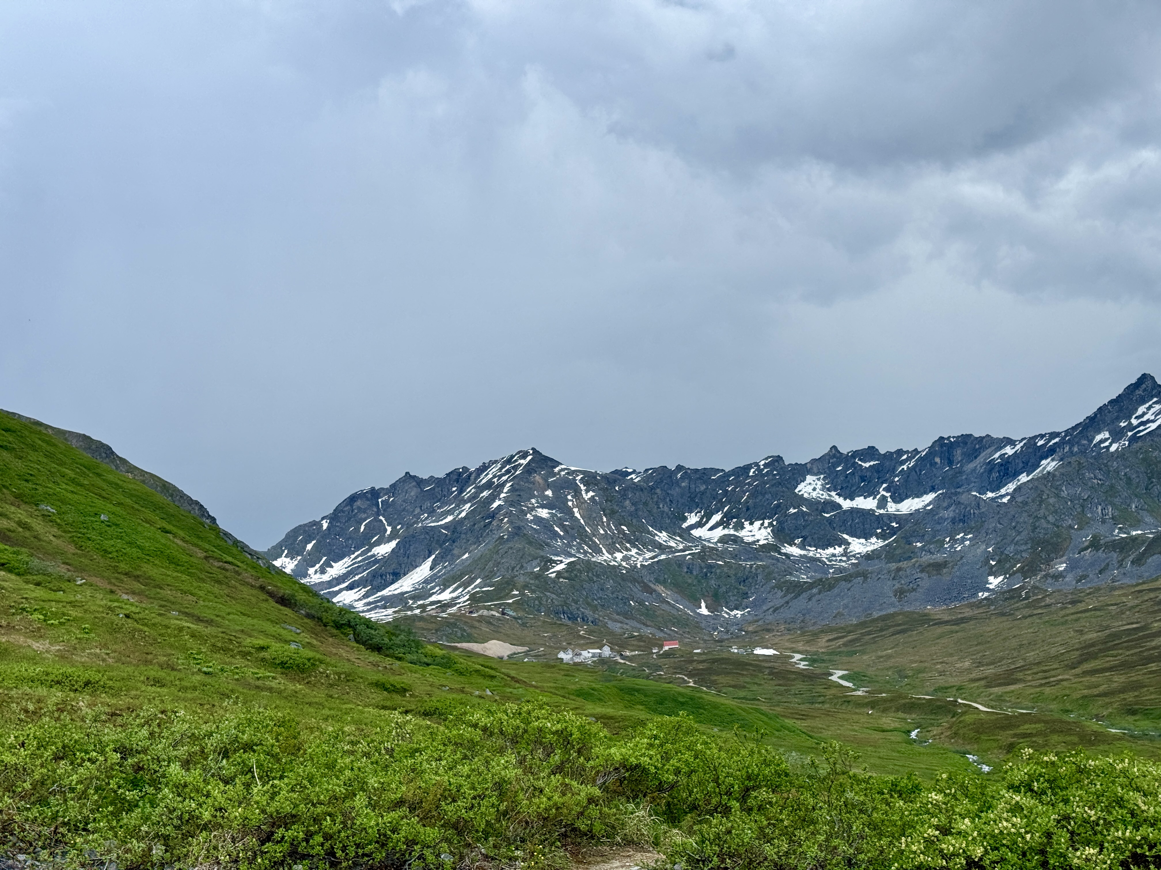 Day 184 / June 23, 2024