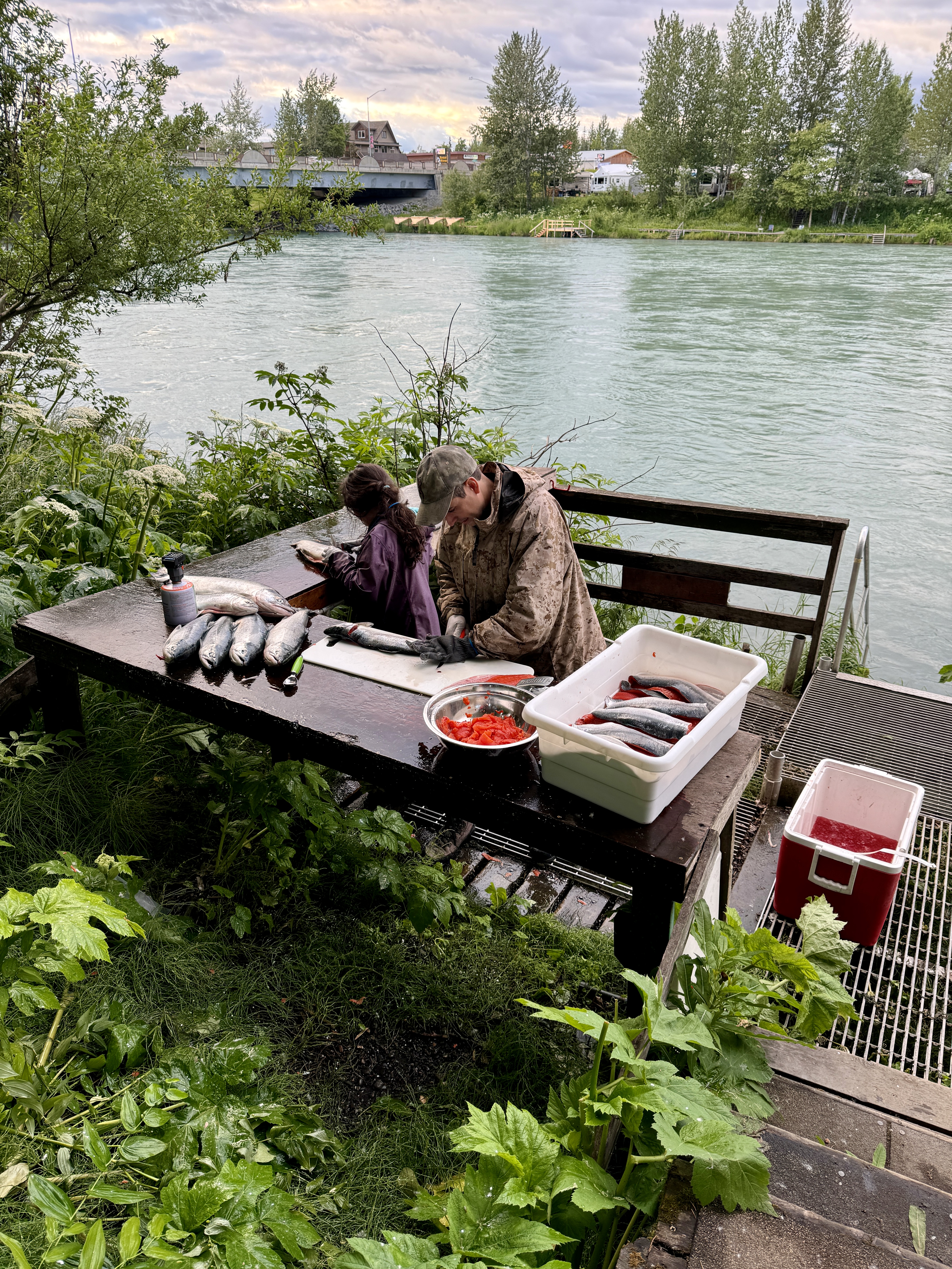 Day 202 / July 11, 2024