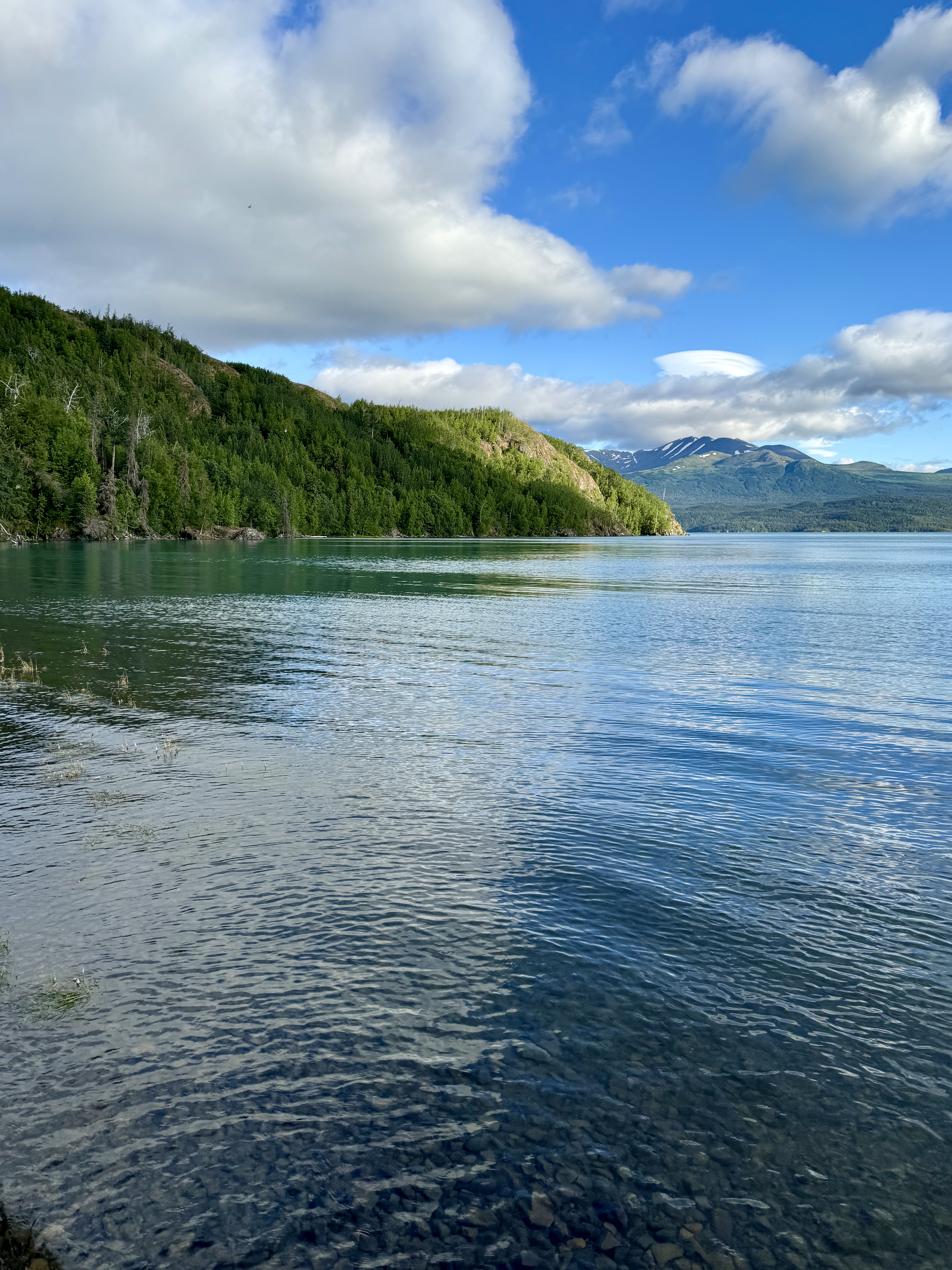 Day 200 / July 9, 2024